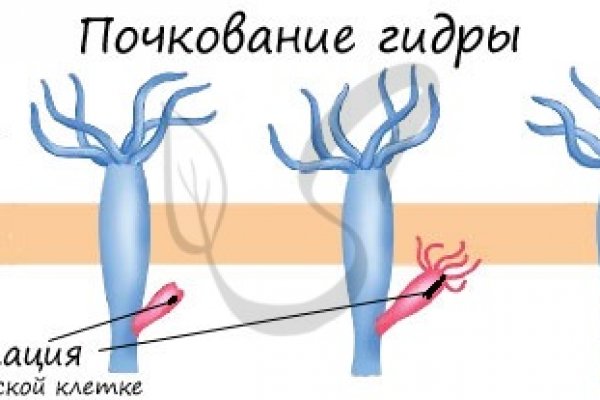 Войти на кракен